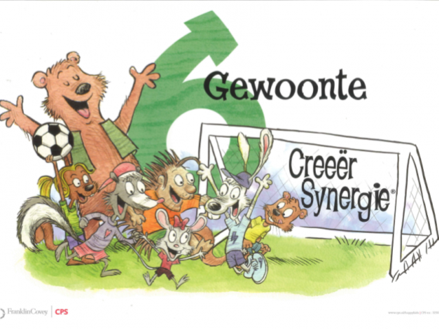 Gewoonte 6: 'Creëer synergie'