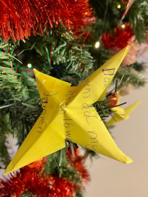 F616A6FC-BD50-4FFE-BF6C-2778A2EC8B5F