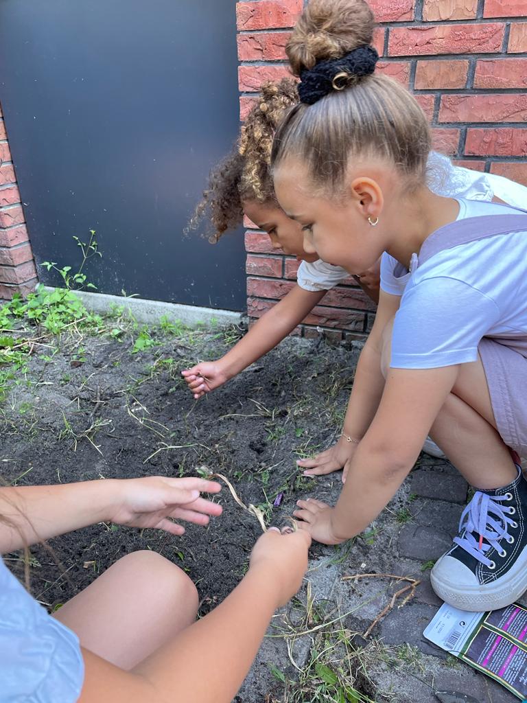 Make-Over insectenhotel 