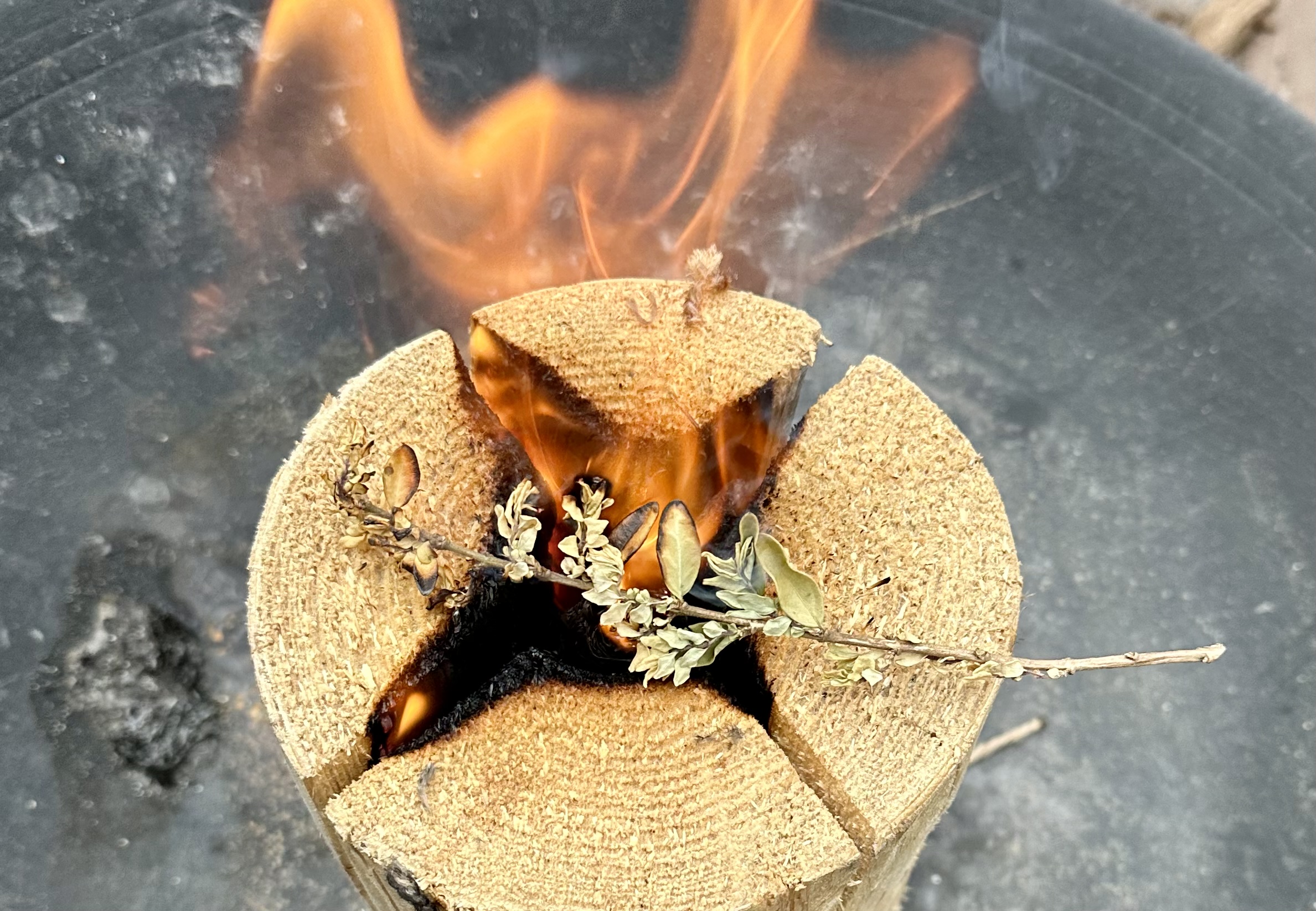 Leerlingen verbranden oude palmtakjes bij start veertigdagentijd