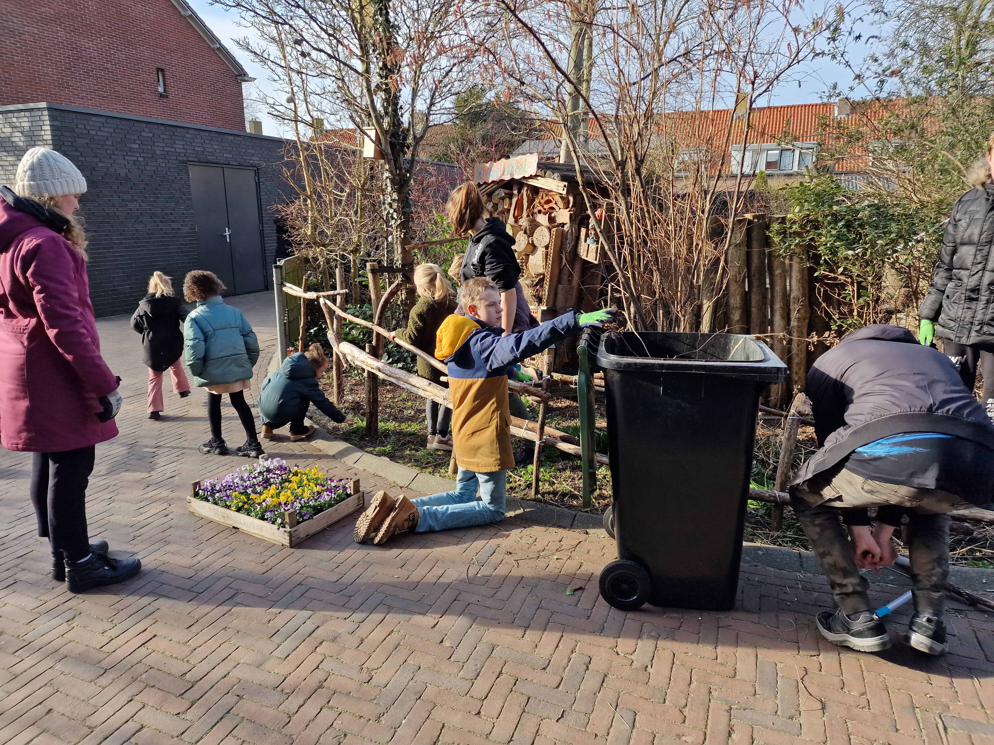 Nieuwe plantjes op het schoolplein