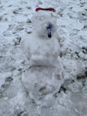 F86FE901-C825-4552-B80C-AA0F27B27556